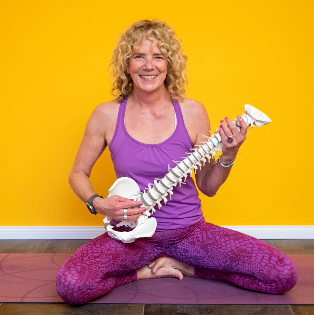 FlowYoga.Hamburg_Teacher_Trainig_Skelett